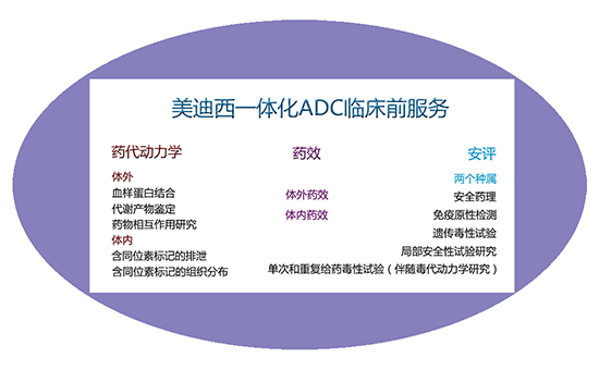 k8凯发国际一体化ADC临床前服务