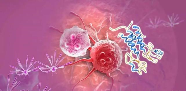 【盘点】高选择性mTOR抑制剂的研究进程_k8凯发国际生物医药