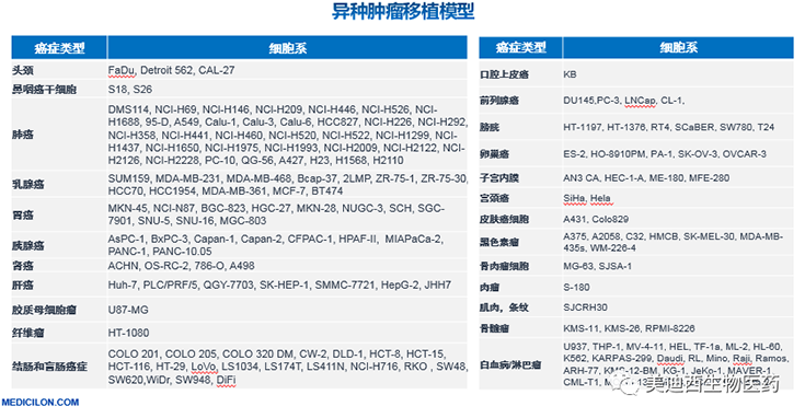 k8凯发国际异种肿瘤移植模型清单