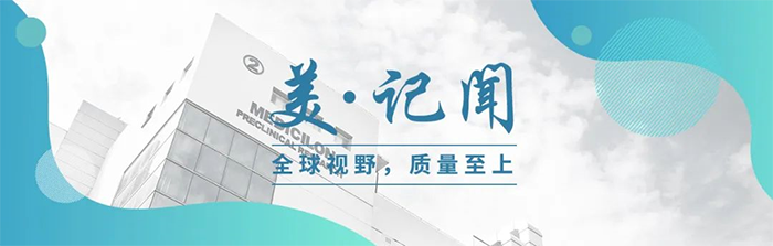 海宁市副市长杨文华一行调研k8凯发国际