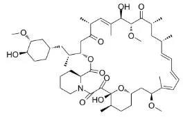 雷帕霉素新制剂用于罕见病，获4500万美元融资