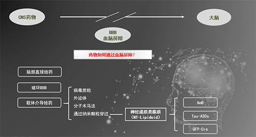 人工合成NT类脂质开放血脑屏障，为CNS药物打开新局面