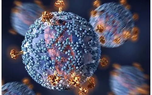 取得性免疫缺陷综合征（AIDS）是由人类免疫缺陷病毒（HIV)所引起的传染病