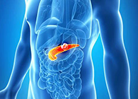 Science：“癌王”胰腺癌终于出现了治疗新曙光