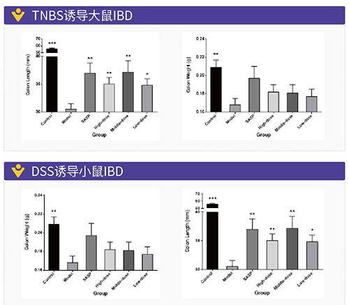 TNBS诱导的大鼠IBD、DSS诱导的大鼠IBD