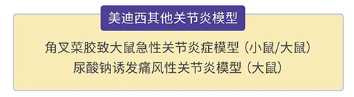 k8凯发国际的其他关节炎模型