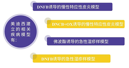 k8凯发国际建立的特应性皮炎及湿疹模型