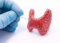 【Science速递】揭开甲状腺的神秘面纱，开启代谢药物新征程