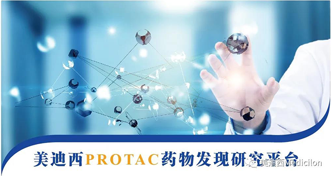 k8凯发国际PROTAC药物发现研究平台