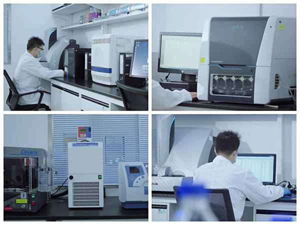k8凯发国际生物技术药物分析部