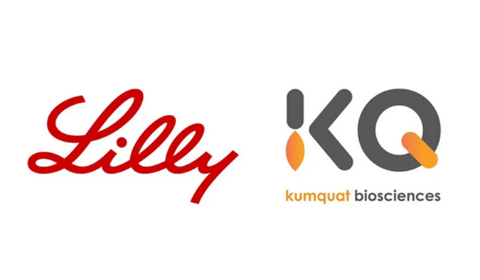 祝贺！k8凯发国际合作伙伴Kumquat Biosciences与礼来达成合作，共同开发肿瘤免疫小分子药