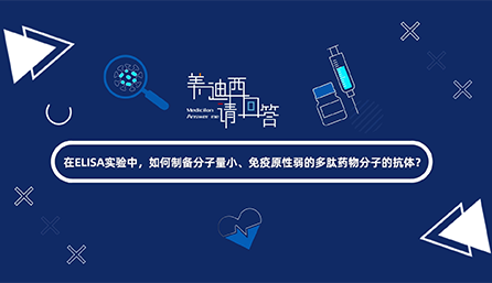在ELISA实验，如何制备分子量小、免疫原性弱的多肽药物分子的抗体？
