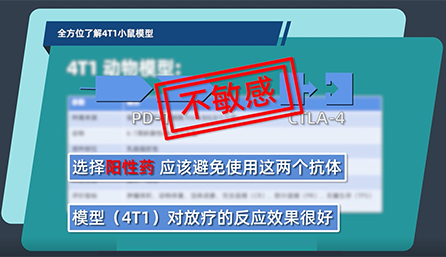 全方位分析4T1小鼠模型