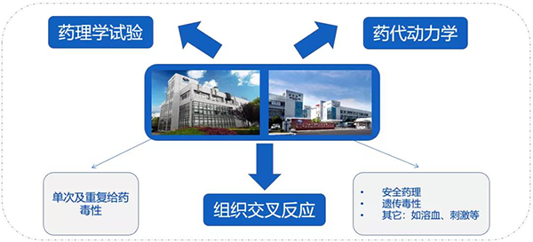 k8凯发国际药代以及安评研究服务.png k8凯发国际药代以及安评研究服务.png
