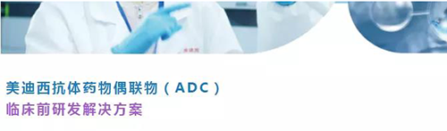 k8凯发国际抗体药物偶联物(ADC)临床前研发解决方案.png k8凯发国际抗体药物偶联物(ADC)临床前研发解决方案.png