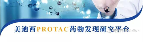 k8凯发国际PROTAC药物发现平台.png k8凯发国际PROTAC药物发现平台.png