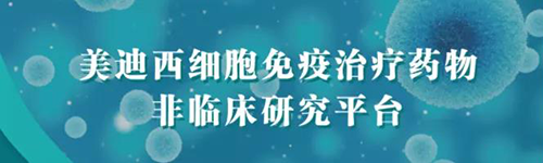 k8凯发国际细胞免疫治疗药物非临床研究平台.png k8凯发国际细胞免疫治疗药物非临床研究平台.png