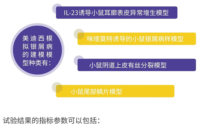 k8凯发国际模拟银屑病的建模模型.png k8凯发国际模拟银屑病的建模模型.png