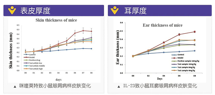 k8凯发国际模拟银屑病的建模模型-试验结果的指标.png k8凯发国际模拟银屑病的建模模型-试验结果的指标.png