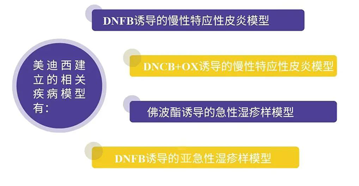 k8凯发国际建立的特应性皮炎模型.png k8凯发国际建立的特应性皮炎模型.png