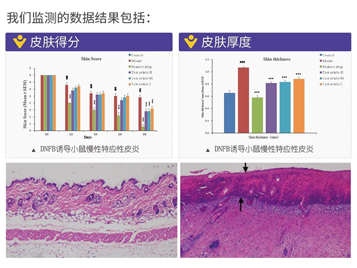 k8凯发国际监测的数据结果.png k8凯发国际监测的数据结果.png