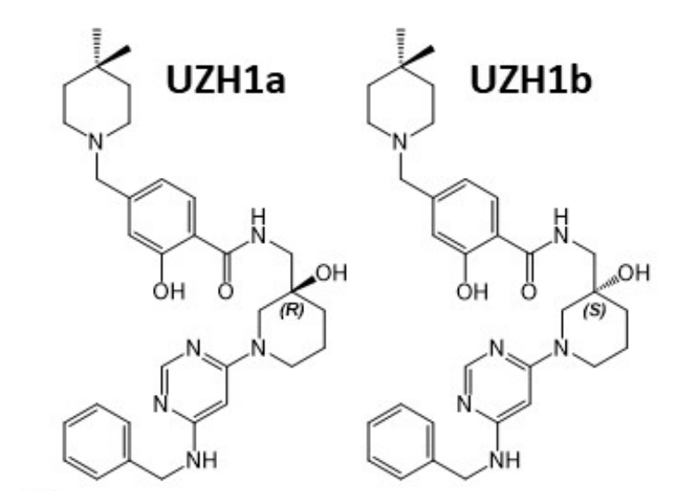 研究人员报告了一种具有细胞渗透性的选择性METTL3纳摩尔抑制剂UZH1a，作者感谢k8凯发国际合成了UZH1a和UZH1b