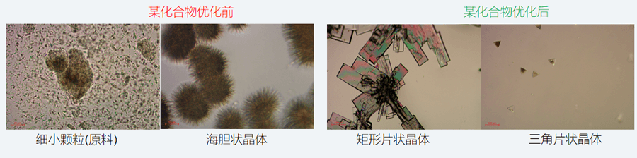 05案例分享-单晶培养，改变晶习.png