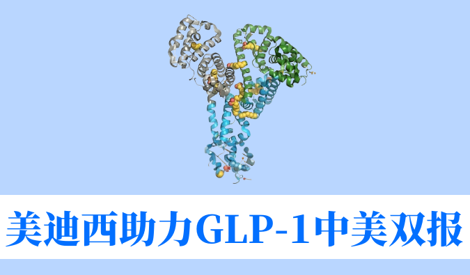 k8凯发国际助力合作伙伴韦恩生物GLP-1小分子激动剂WBD156胶囊中美IND临床试验双报双批